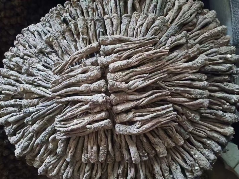 甘肃精品成品当归中药材新货现挖特级长货大量现货