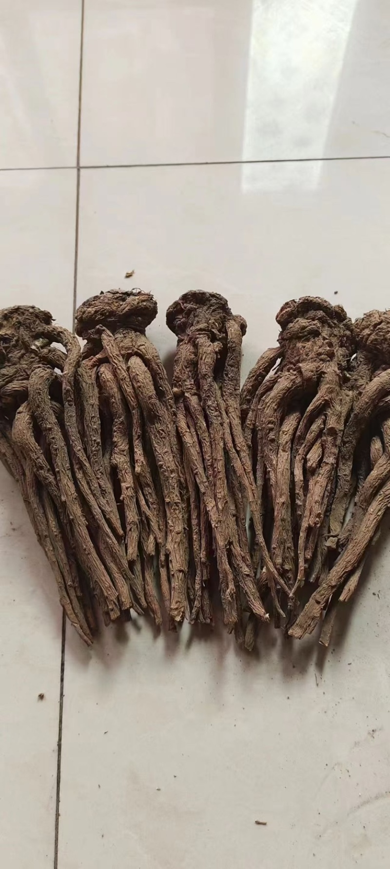 甘肃精品成品当归中药材新货现挖特级长货大量现货