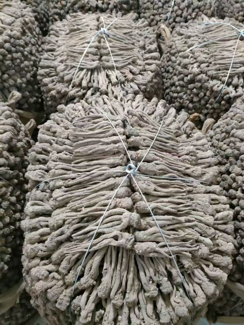 甘肃精品成品当归中药材新货现挖特级长货大量现货