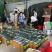 江西赣州崇义高山上的锦绣黄桃脆甜多汁现摘现发可零售可批发