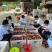 江西赣州崇义高山上的锦绣黄桃脆甜多汁现摘现发可零售可批发