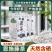 正宗恩施来凤藤茶2025新茶养生茶特级藤茶250g