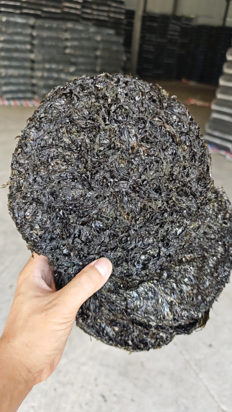 霞浦紫菜，二水紫菜，厂家直销黑金紫菜，有量有价