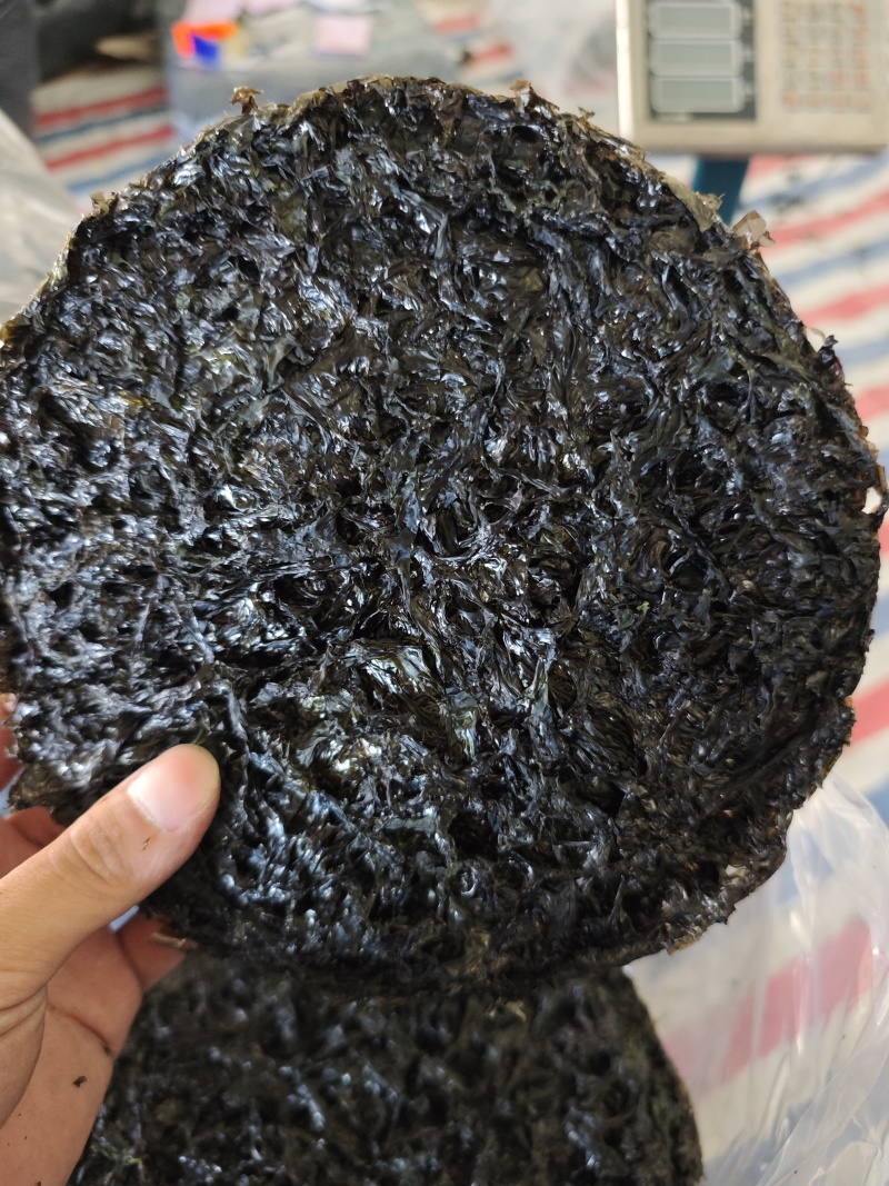 霞浦紫菜，二水紫菜，厂家直销黑金紫菜，有量有价
