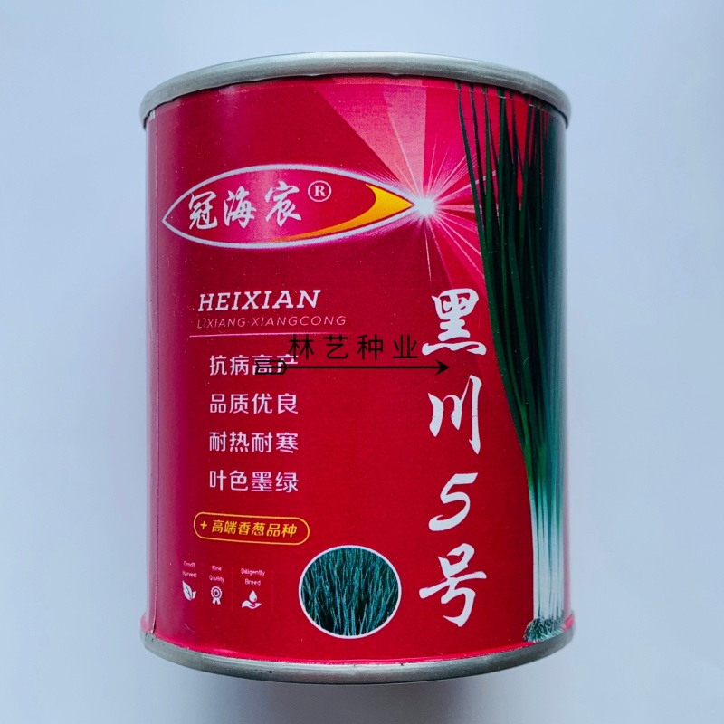 黑川5号小香葱种子叶色墨绿耐热耐寒硬度好株型直立抗病产量