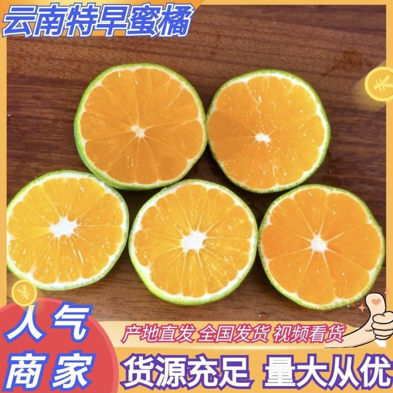 云南蜜橘高山蜜橘，特早蜜橘青皮蜜橘团购电商市场，多多买菜