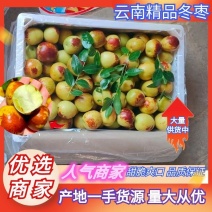 云南鲜枣冬枣脆甜枣产地供货源量大从优供全国商超