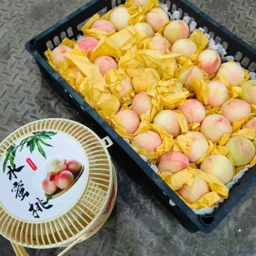 丽水水蜜桃