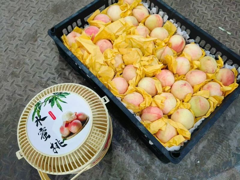 丽水水蜜桃