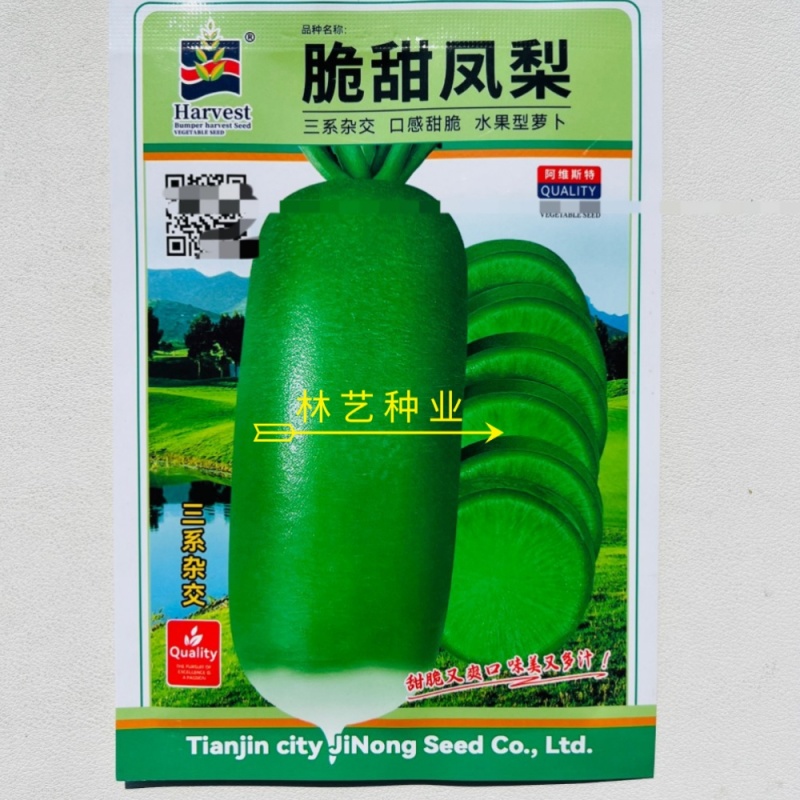 脆甜凤梨萝卜种子水果凤梨种籽山东萝卜潍县青萝天津沙窝