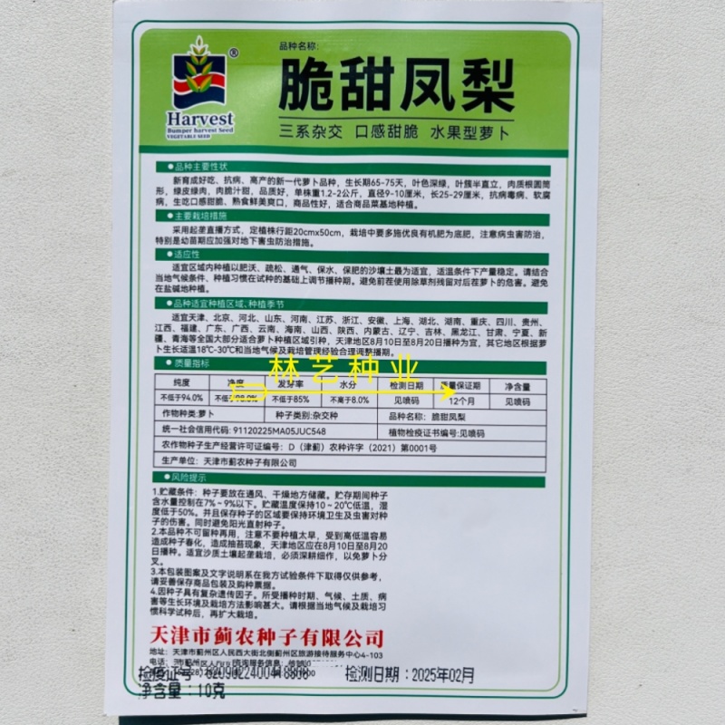 脆甜凤梨萝卜种子水果凤梨种籽山东萝卜潍县青萝天津沙窝