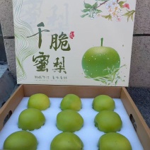 砀山千脆蜜梨新鲜薄皮肉厚脆甜多汁