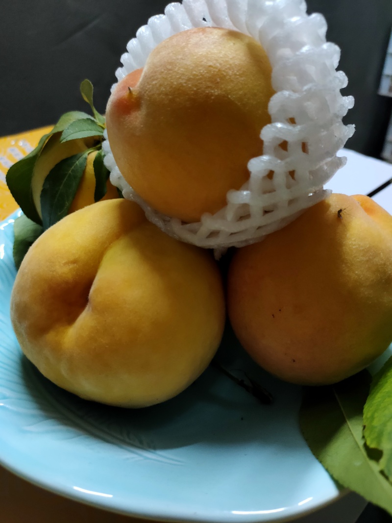 锦绣黄桃