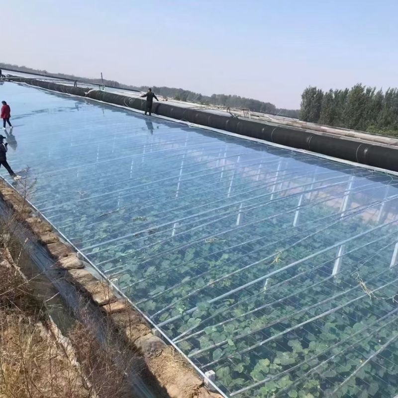【热卖】厂家直销精品6+2水晶大棚膜PO膜高透光耐老化