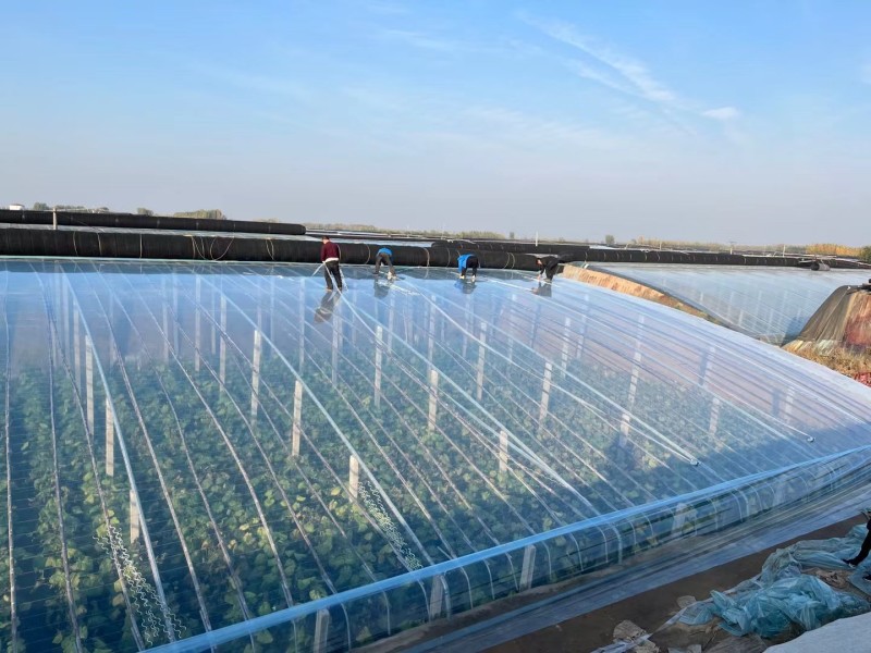 【热卖】厂家直销精品6+2水晶大棚膜PO膜高透光耐老化