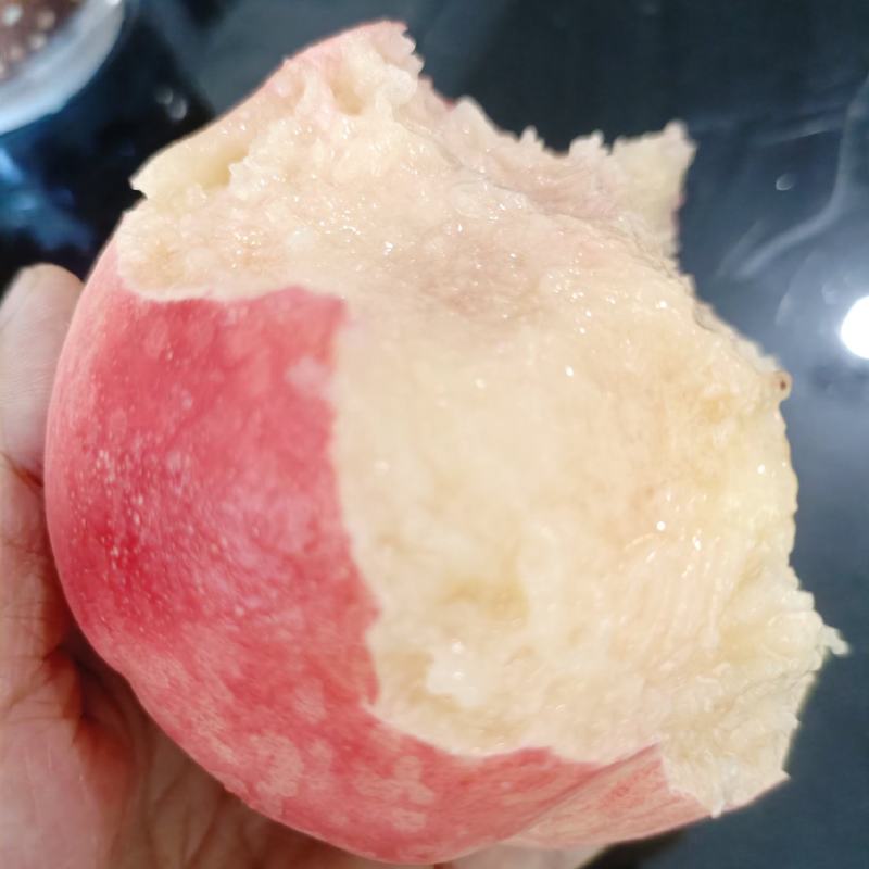 龙泉水蜜桃优质大果