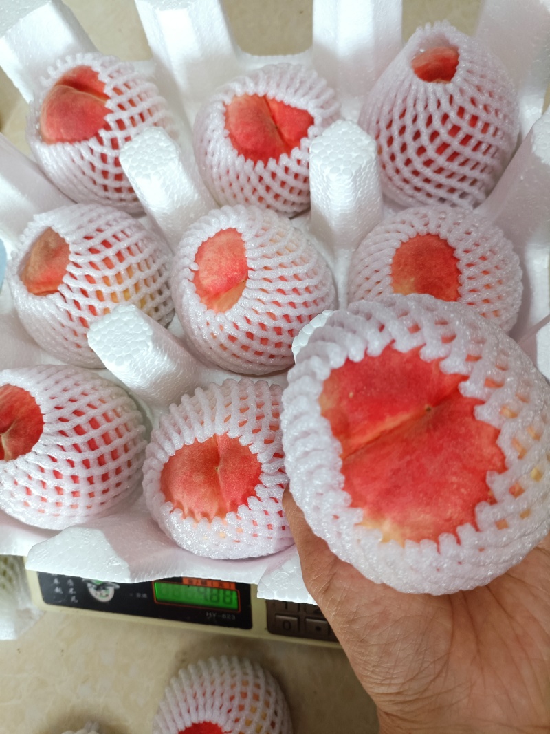 龙泉水蜜桃优质大果