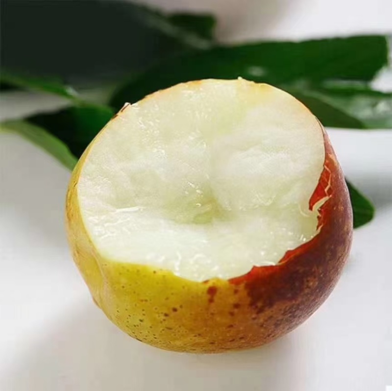 脆甜陕西大荔冬枣