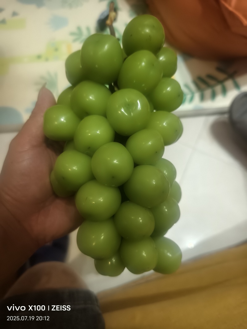 阳光玫瑰，颗粒饱满，味甜多汁，香味浓郁。