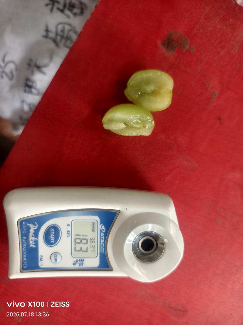 阳光玫瑰，颗粒饱满，味甜多汁，香味浓郁。