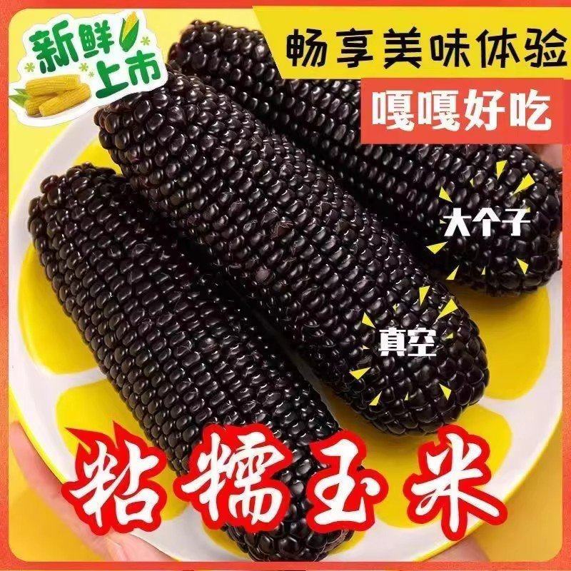 黑糯玉米