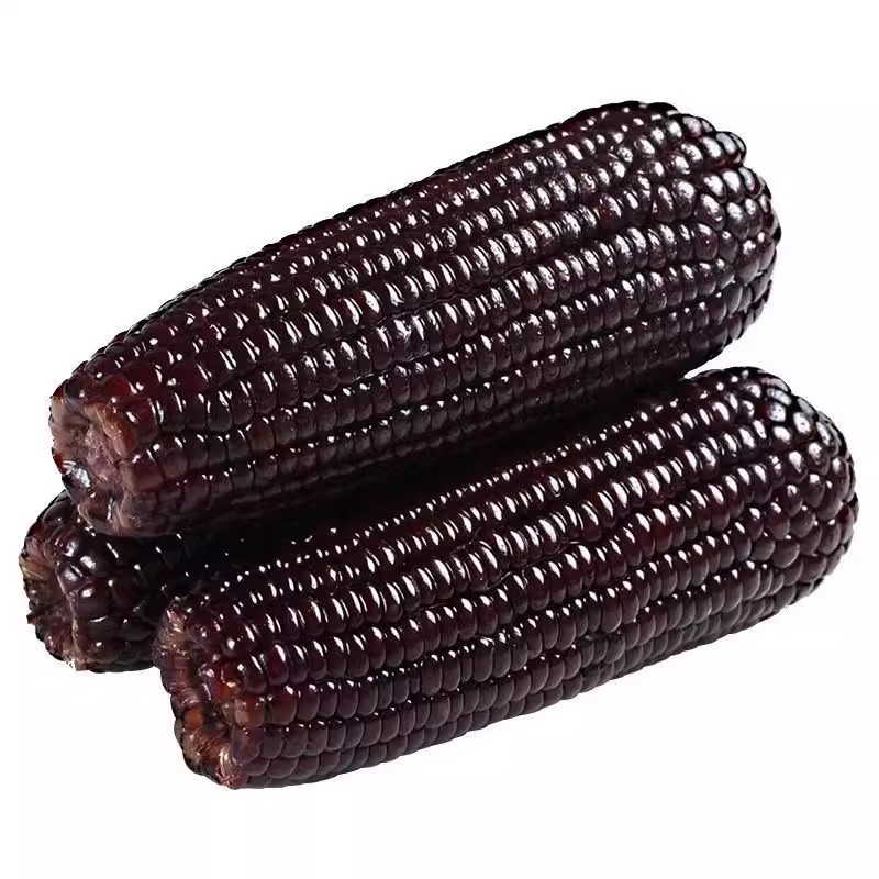 黑糯玉米
