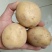 希森土豆