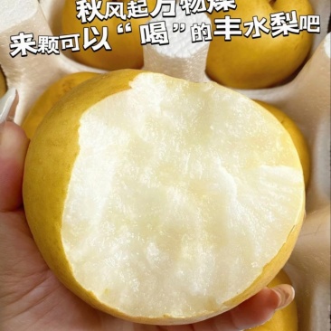 山东丰水梨，秋月梨，鸭梨，苹果