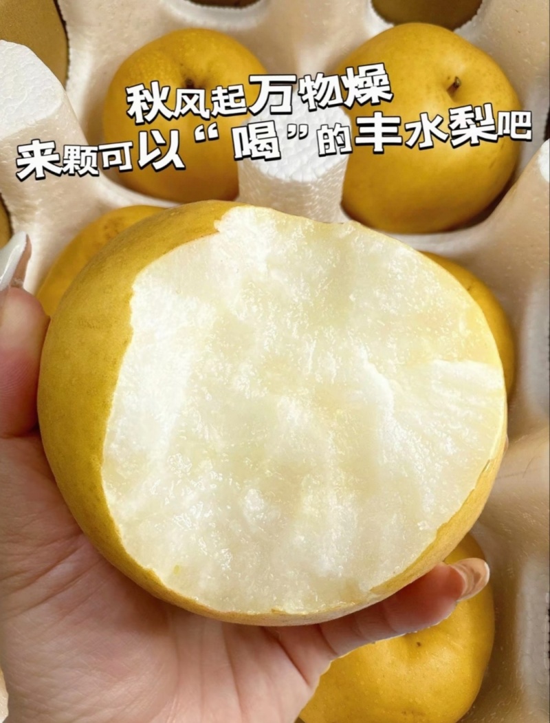 山东丰水梨，秋月梨，鸭梨，苹果