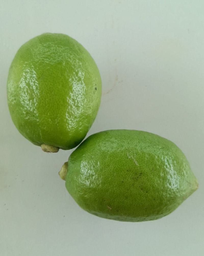 广东香水柠檬