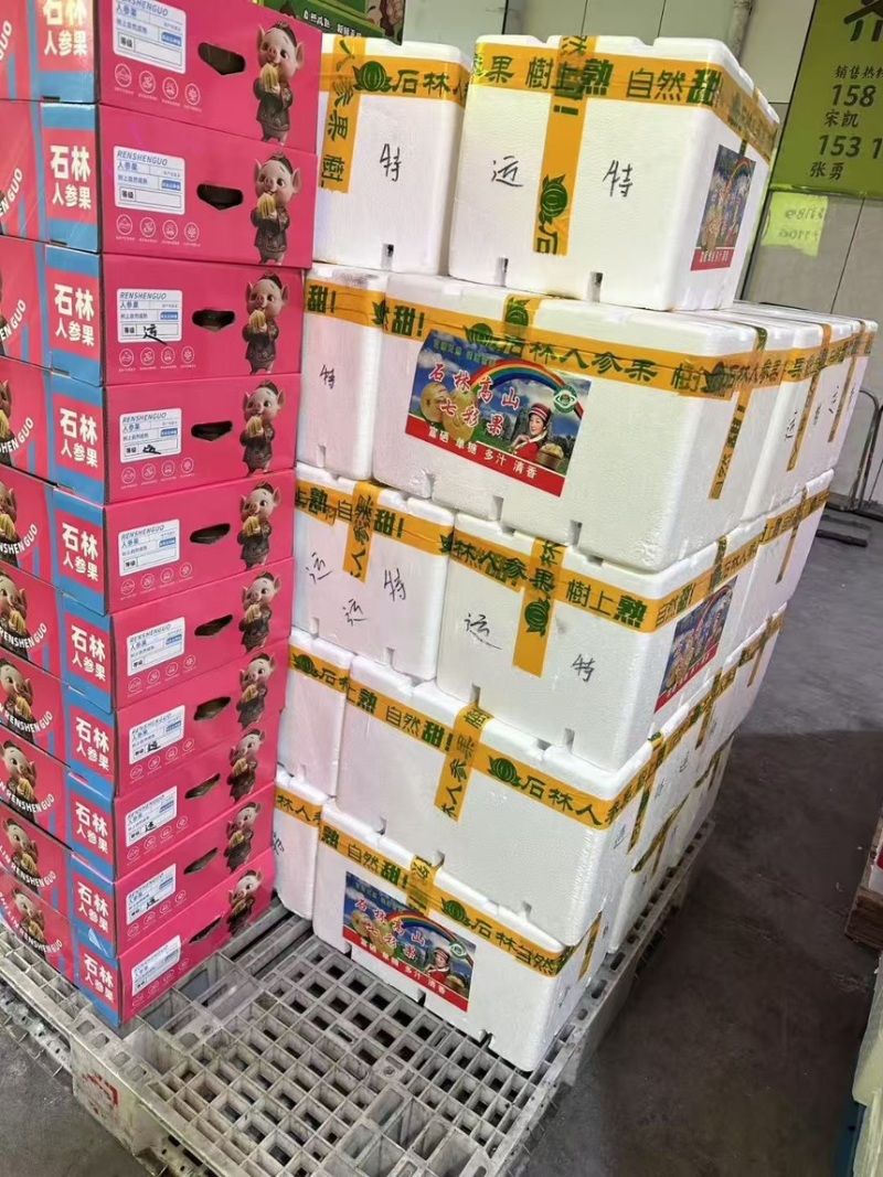 人参果万亩种植基地直供专业一件代发供应全国批发市场档口