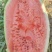 宁夏石头瓜