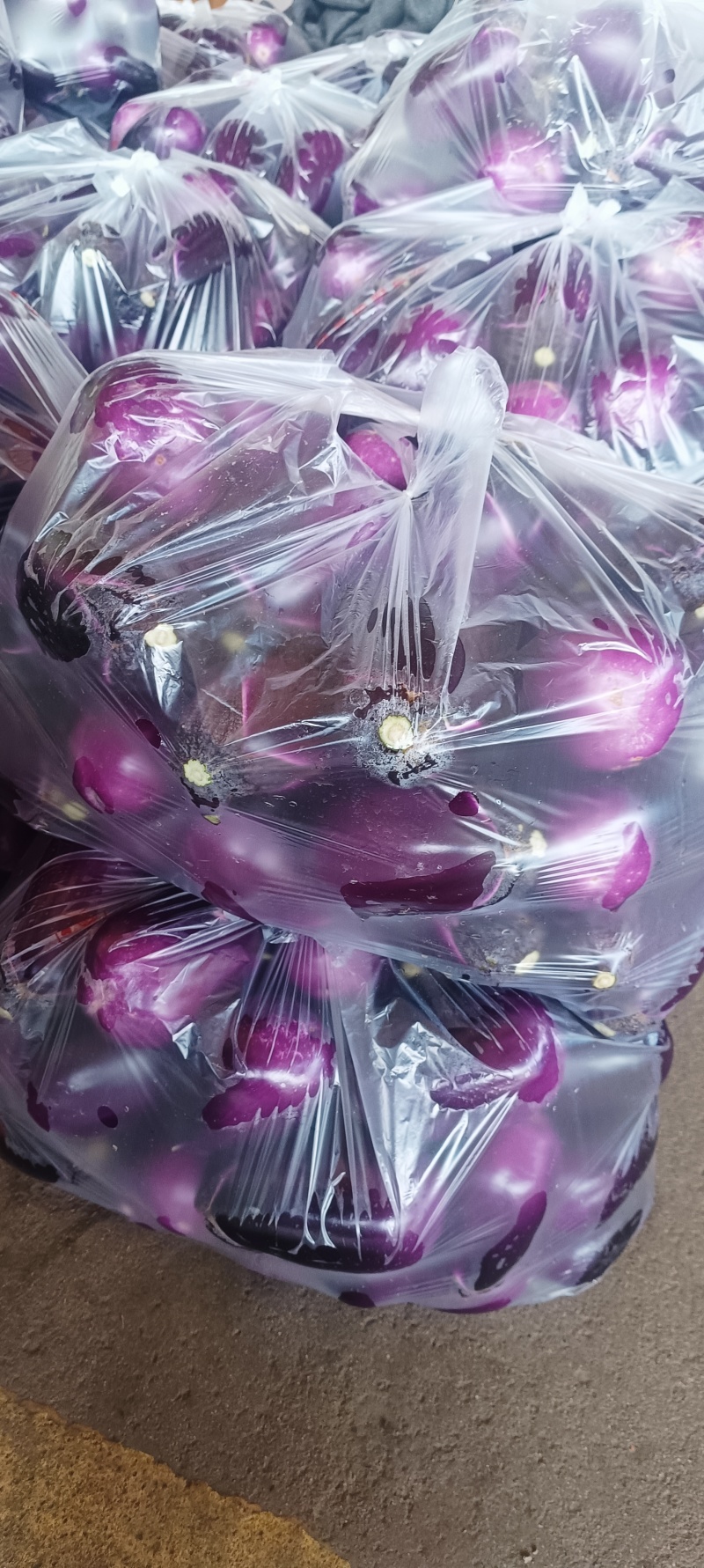 陕西精品茄子，勉县茄子，大量上市，全国直发，欢迎咨询