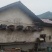 原产地，野生土蜂蜜