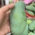 4两-5两