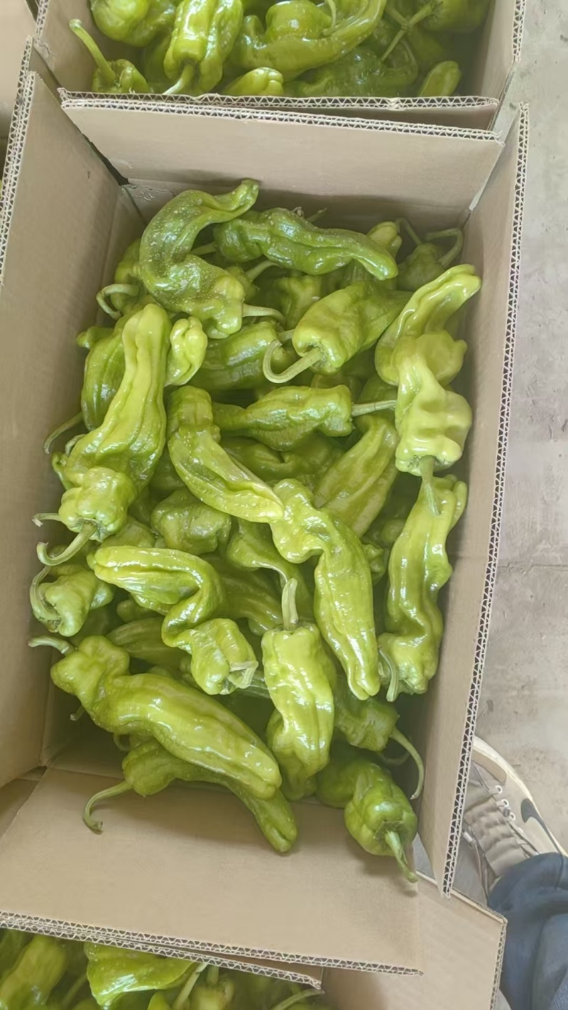 芜湖椒