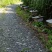 中锋，百花蜜/父亲乡下晚年的生计