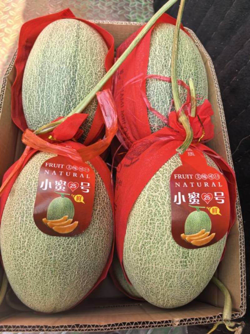 山东A级晓蜜瓜，山东一级精品晓蜜瓜，山东A级精品晓蜜瓜