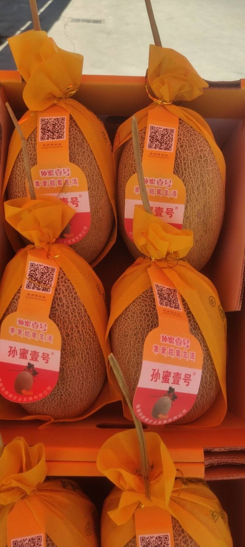 江苏A级晓蜜瓜，江苏一级晓蜜瓜，江苏晓蜜瓜