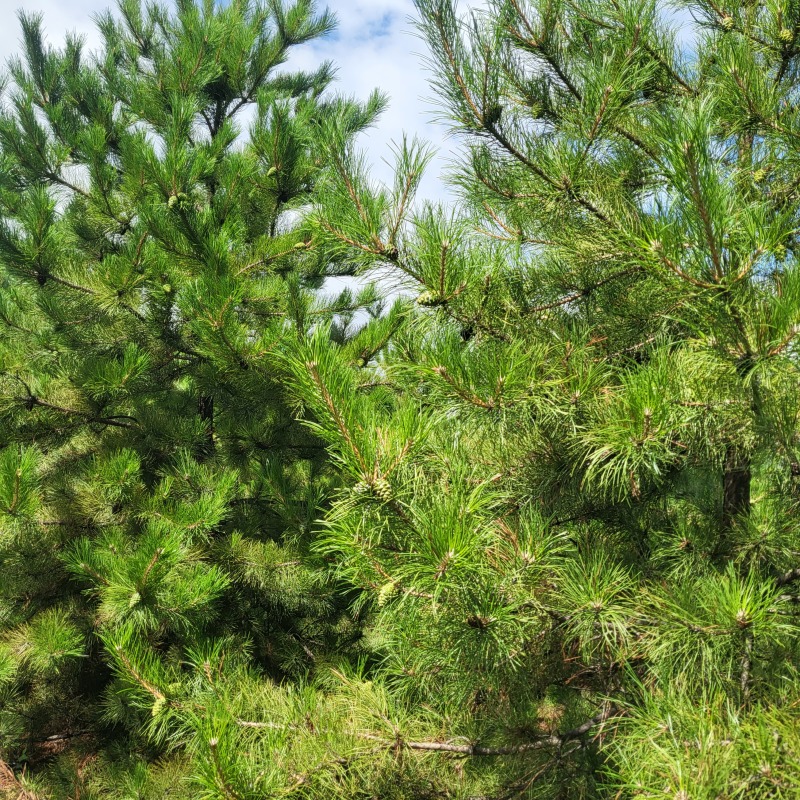 有需要的老板速速联系