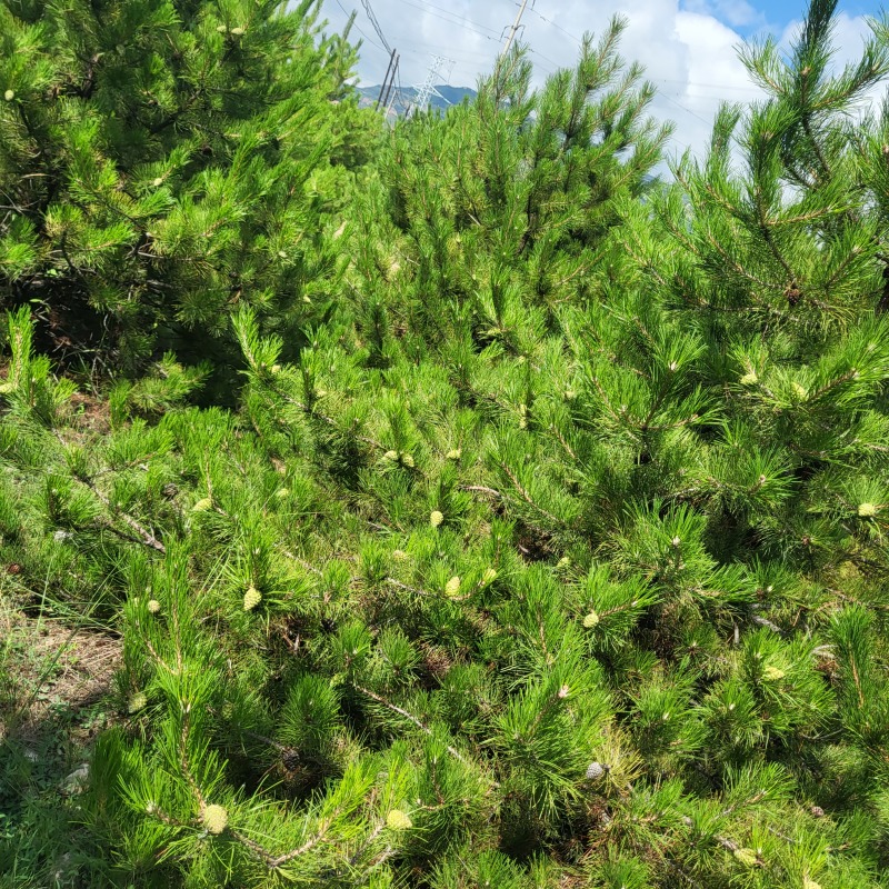 有需要的老板速速联系