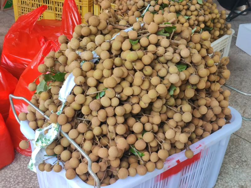 清甜可口的龙眼