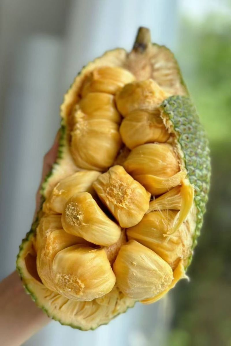 尖蜜拉海南榴莲蜜，包多暴甜
