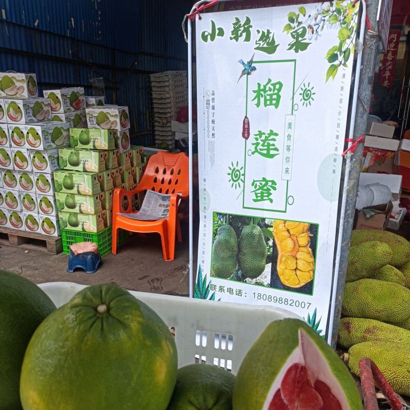 尖蜜拉海南榴莲蜜，包多暴甜
