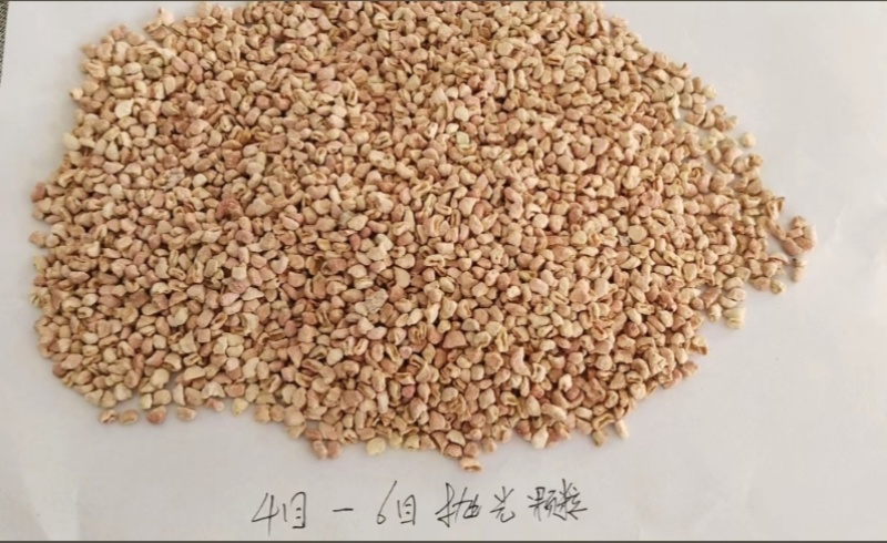 玉米芯宠物垫料生产