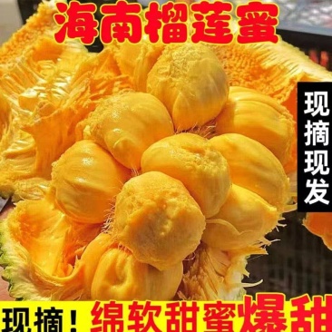海南榴莲蜜尖蜜拉软糯香甜，精品A货整车，一件代发果地直发