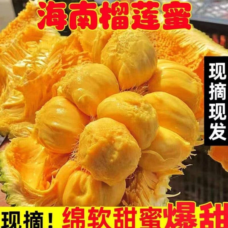 海南榴莲蜜尖蜜拉软糯香甜，精品A货整车，一件代发果地直发