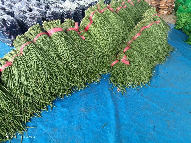 长豆十八豆