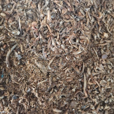 饲料鱼干猪牛羊鸡鸭鹅地产养殖鱼虾蟹黄辣丁甲鱼牛蛙100斤
