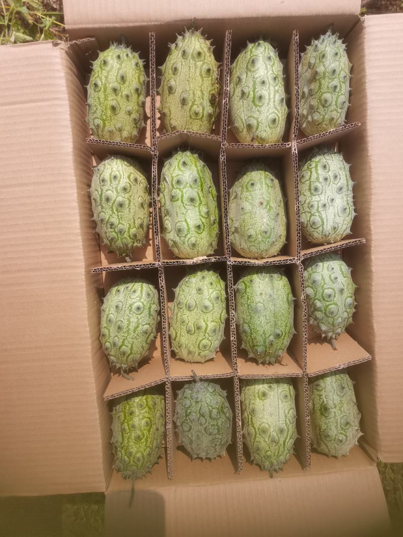火参果/刺角瓜